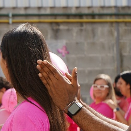 Semana começa com abertura da ‘Primavera Rosa’ em Volta Redonda